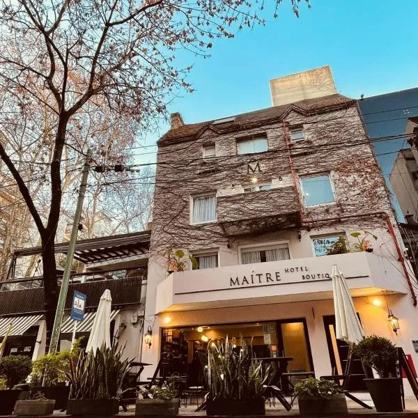麦特瑞精品酒店,位于布宜诺斯艾利斯的酒店