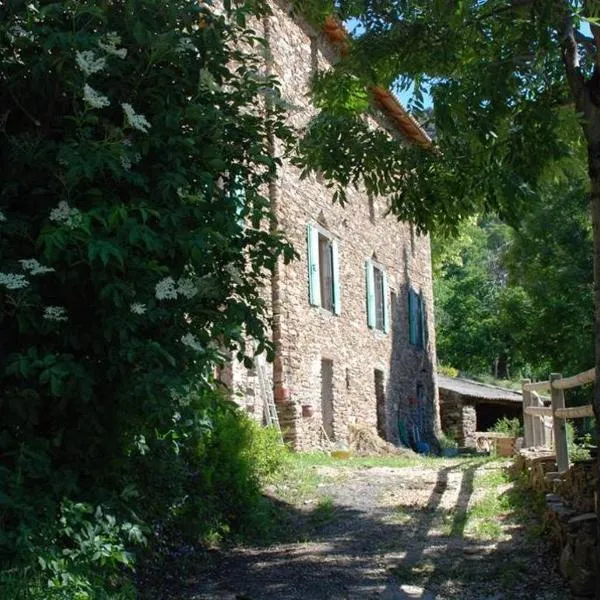 Gîte de Fontfouillouse，位于Sainte-Croix-Vallée-Française的酒店