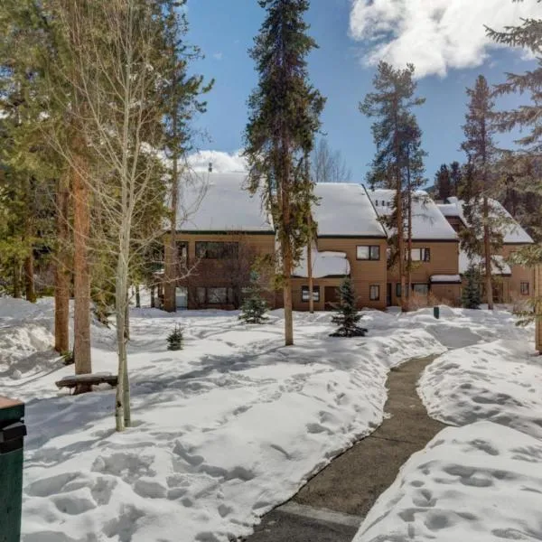 Quicksilver by Summit County Mountain Retreats，位于基斯通的酒店