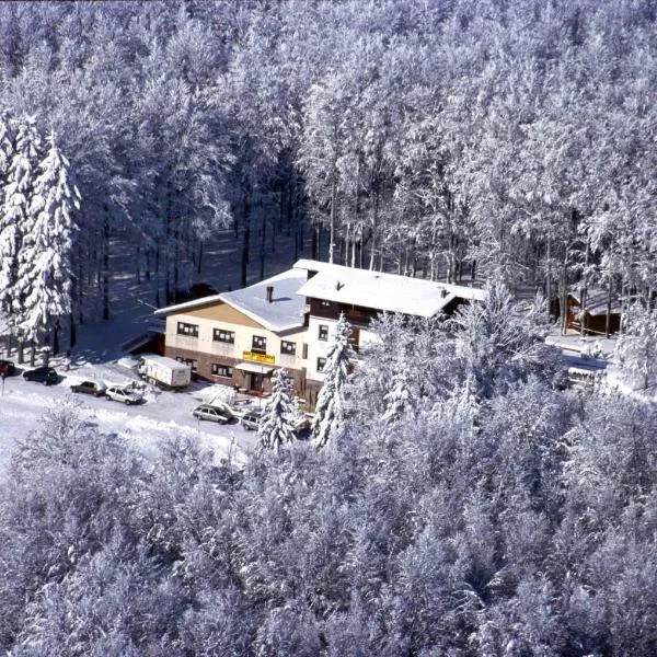 Albergo Le Macinaie - Monte Amiata，位于皮亚诺堡的酒店