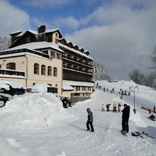 Hotel Zieleniec，位于Lasowka的酒店