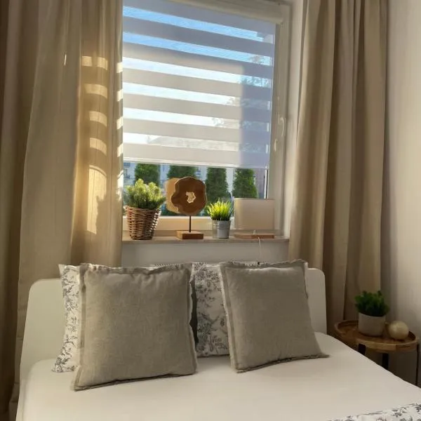 Apartament Stella Park，位于Zieleniewo的酒店