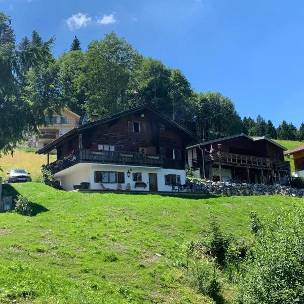 Ferienwohnungen im Blockhaus Metzler，位于施瓦岑贝格的酒店