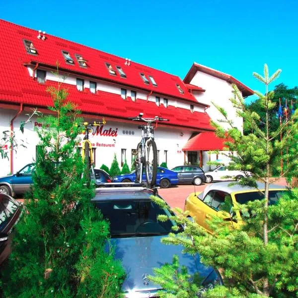 Pensiunea Casa Matei，位于Runcu的酒店