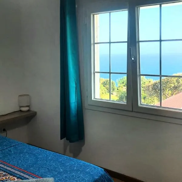 Chambre vue sur mer entre Grande Anse et Manapany，位于珀蒂蒂勒的酒店