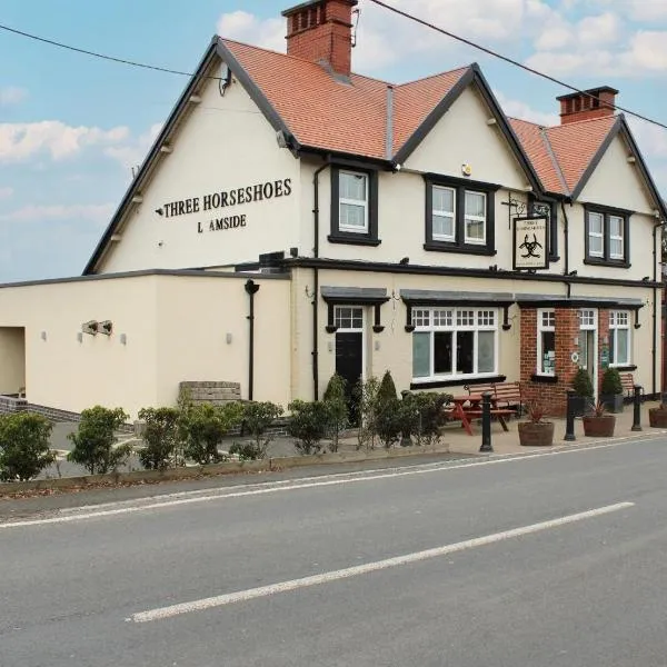 Three Horseshoes Leamside，位于Hebburn的酒店