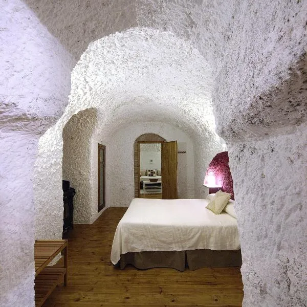 拉塔拉卡萨斯石窟旅馆，位于阿尔库迪亚德瓜迪克斯的酒店