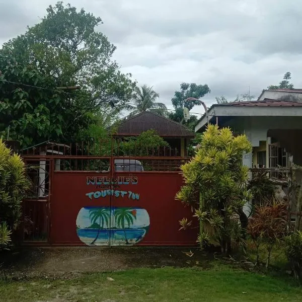 Nellie's Tourist Inn- Port Barton，位于圣维森特的酒店