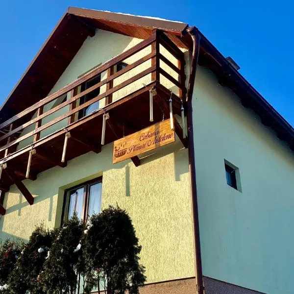 Cabana Plaiuri Ardelene，位于Petreştii de Jos的酒店