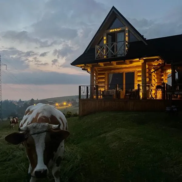 Little House，位于扎布的酒店