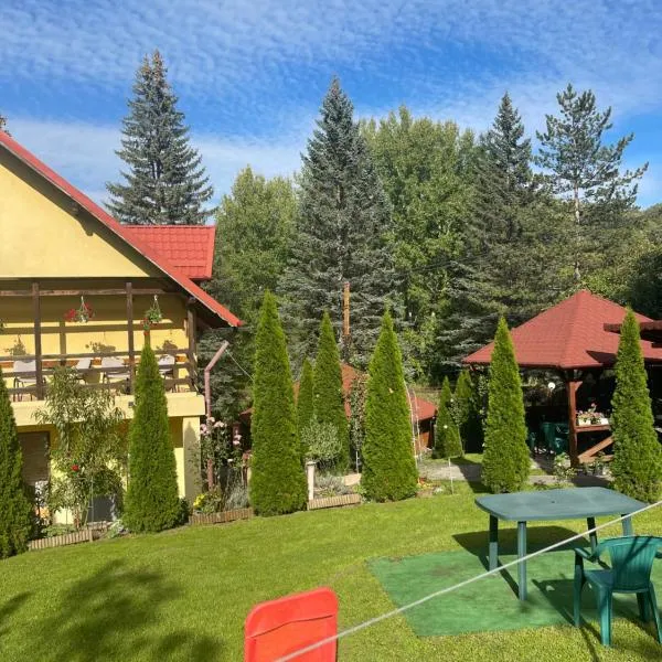 Casa Galbena，位于Aluniş的酒店