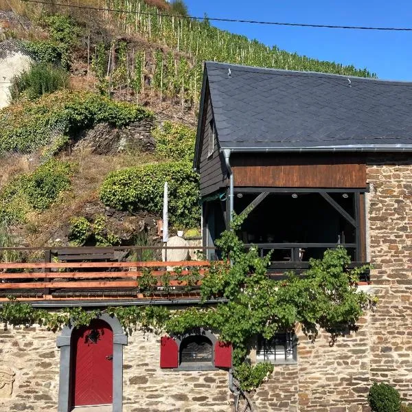 Ferienhaus Goldstück wohnen im Weinberg，位于Pommern的酒店