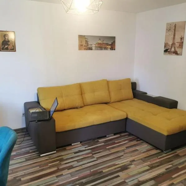 Casa în regim hotelier，位于Dofteana的酒店