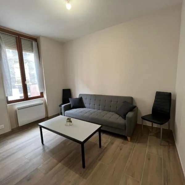 Appartement rénové à 15 min de Lyon，位于Saint-Fons的酒店