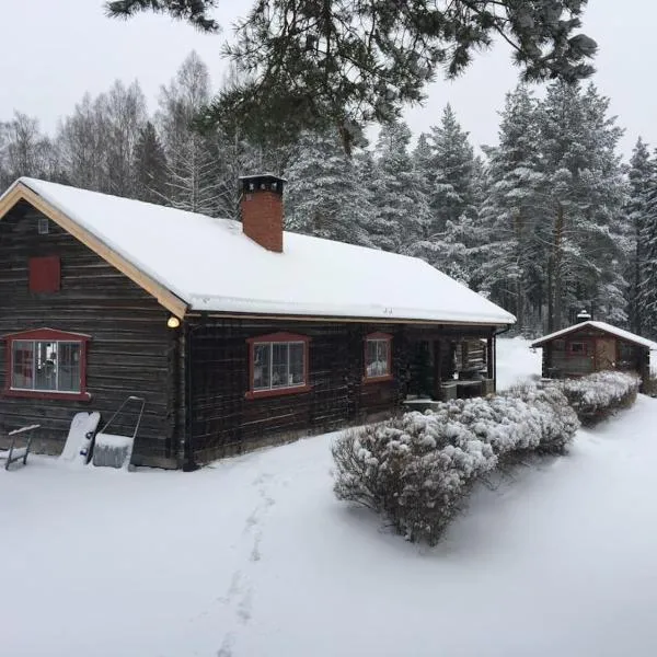 Beautiful 4-5 persons Cottage in Alvdalen,位于艾尔夫达伦的酒店