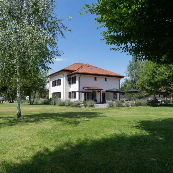 Pensiunea Negoiu，位于波卢巴库苏斯的酒店