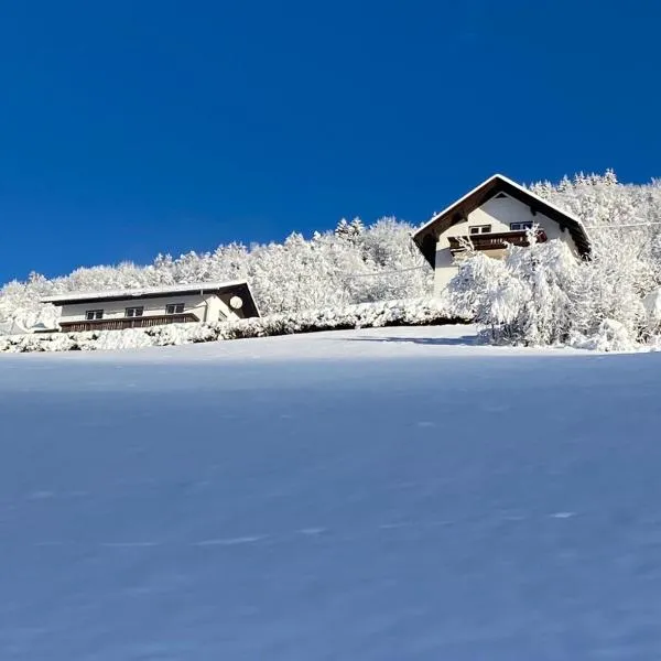 Nocky Mountains Lodge，位于拉登泰因的酒店