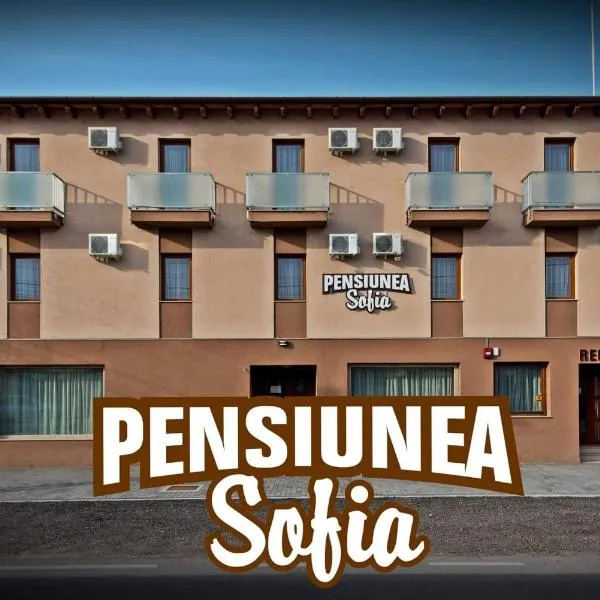 Pensiunea Sofia，位于Pecica的酒店