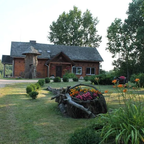 斯瓦恩尼达瓦拉斯乡村别墅，位于Skiemonys的酒店