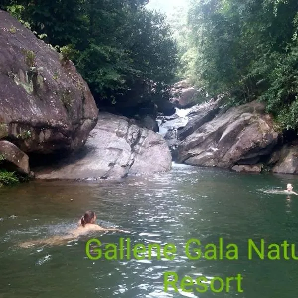 Gallene Gala Nature Resort，位于Dedugala的酒店