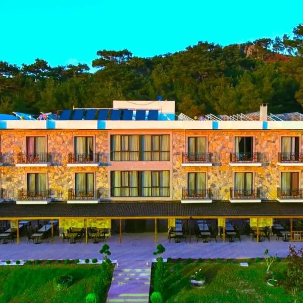 Pinhan Otel Kazdağıları，位于Ayvacık的酒店