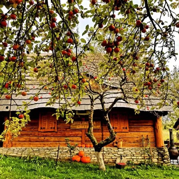 Jabłoniowa Chatka，位于阿芒的酒店