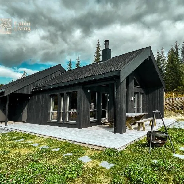 Modern unique cabin fantastic location Skeikampen，位于Svingvoll的酒店