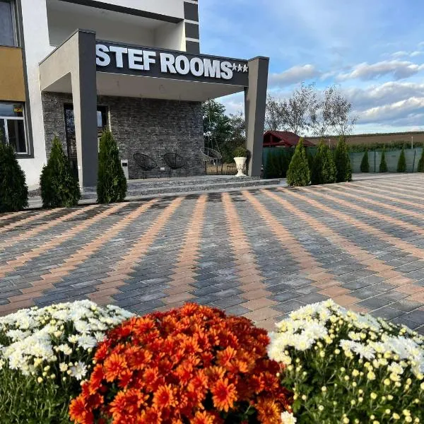 Stef Rooms，位于Miclăuşeni的酒店