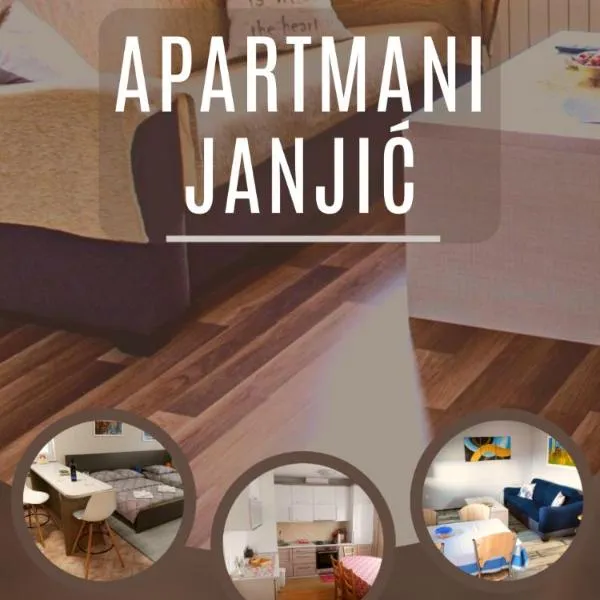 Apartmani Janjic，位于Jovići的酒店
