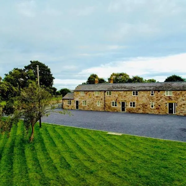 Connah's Quay Park Farm Barns，位于Bagillt的酒店
