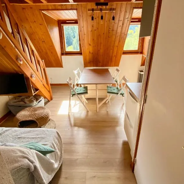 Appartement Chalet à 1400m - Station du Mourtis，位于Boutx的酒店