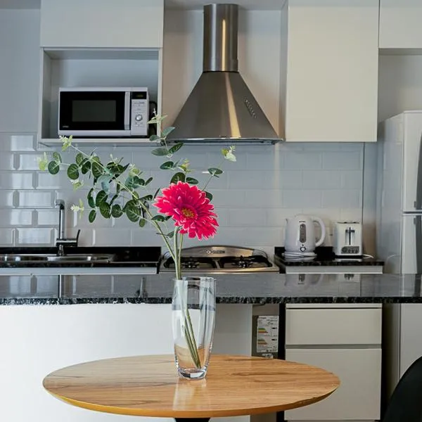 Nice Patagonia Inn，位于内乌肯的酒店