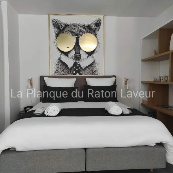 La planque du raton laveur，位于Lierneux的酒店