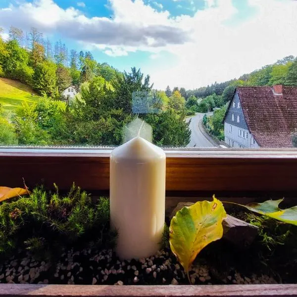 Gemütliche Ferienwohnung im Harz，位于巴特格伦德的酒店