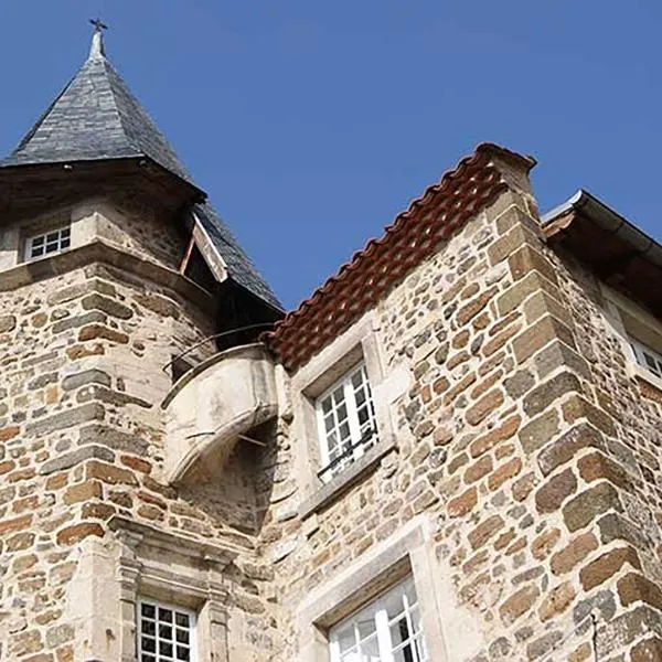 Maison au Loup - Superbe ancien hotel particulier du XVIe siècle au cœur de la vieille ville du Puy，位于勒布伊的酒店