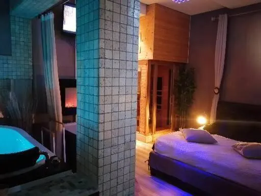 L' Apparte Spa，位于格勒诺布尔的酒店