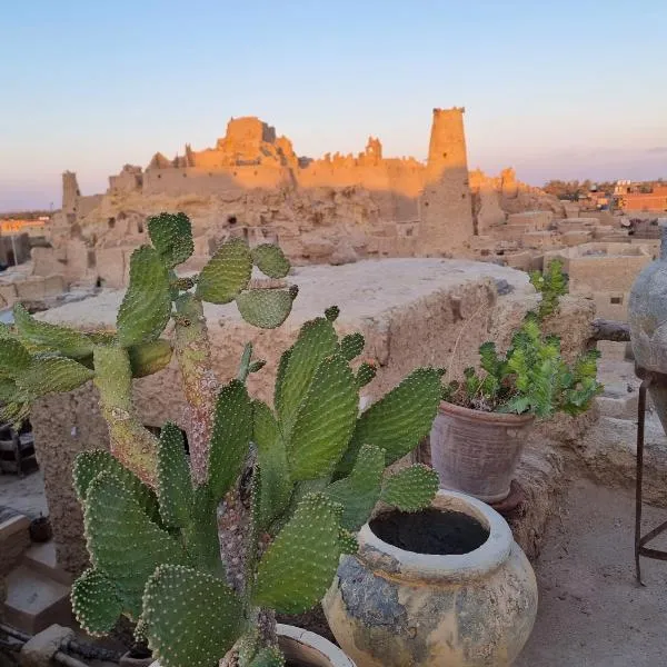 ECO ROOMS Siwa，位于锡瓦的酒店