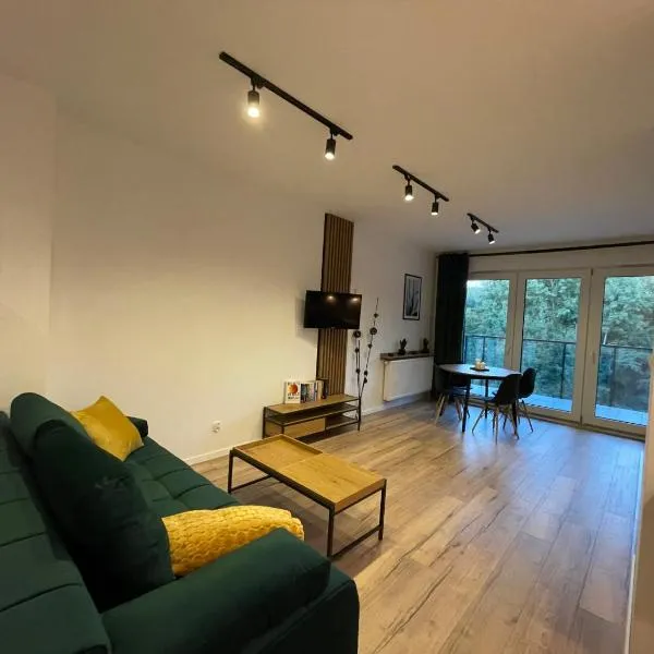 Apartament Park Poezji，位于格利维采的酒店
