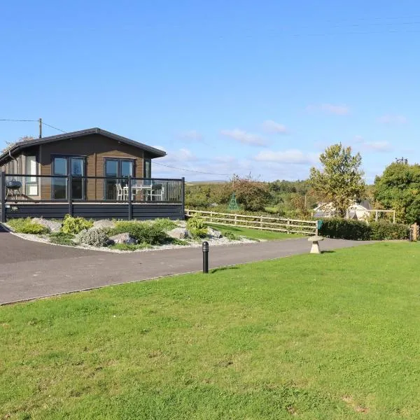 Alder Lodge，位于牛顿阿伯特的酒店