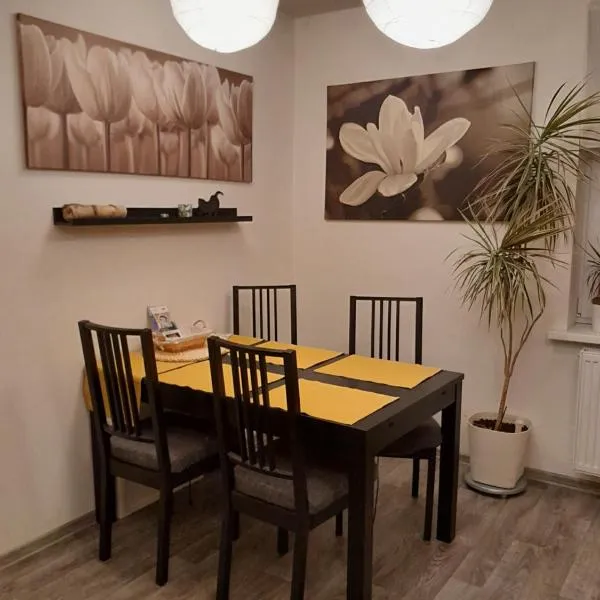 Apartment Riegerovka，位于海布的酒店