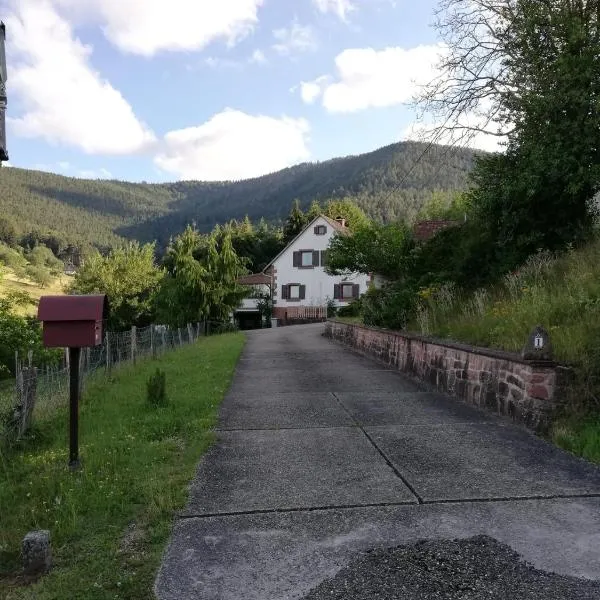 Gîte des abeilles du Kohlberg，位于Dabo的酒店