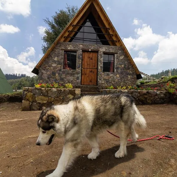 Bosque de Perlillas，位于San Jerónimo Acazulco的酒店