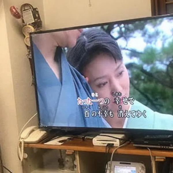 桃源郷，位于Futami的酒店