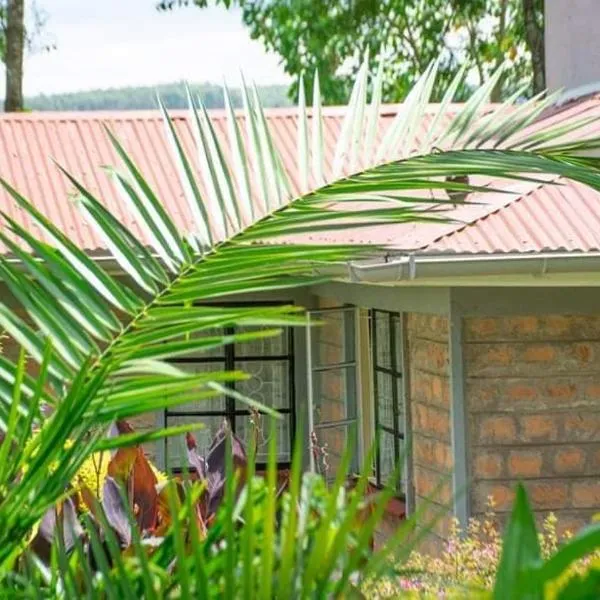 Zoe Homes 1br and 2br Cottage own compound -Kericho town near Green Square mall，位于Kericho的酒店