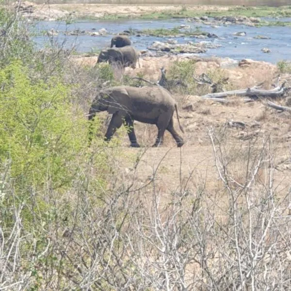 Stoep At Kruger，位于赫克托斯普雷特的酒店