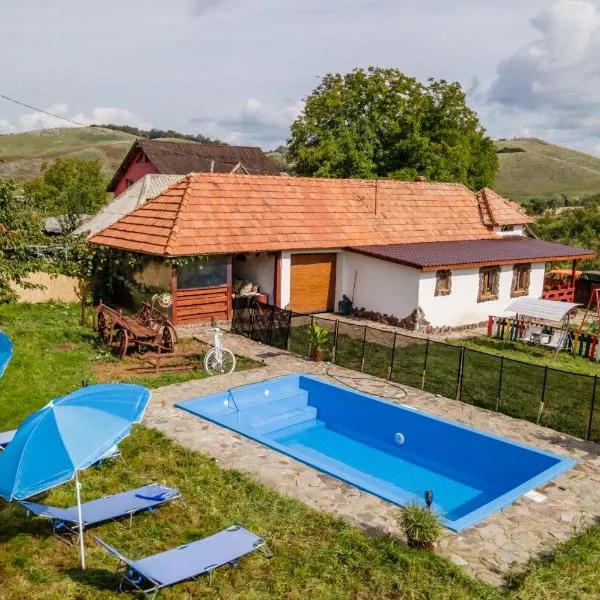 Cottage with pool set in Transylvanian countryside，位于Tomnatic的酒店