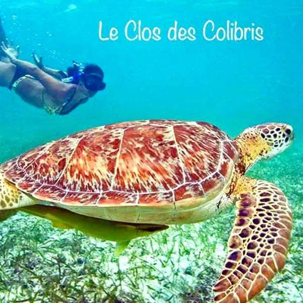 LODGE COLIBRIS vue panoramique mer et montagne pelée , 500 m plage dans un parc , Calme assuré Idéal pour découvrir le nord Caraïbes，位于Le Prêcheur的酒店