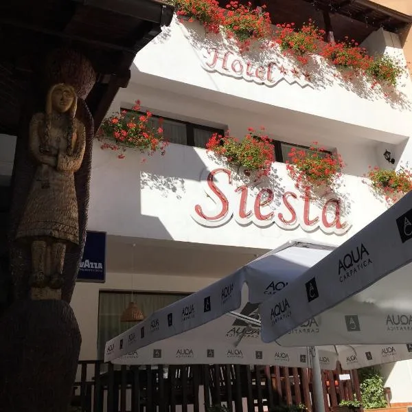 Hotel-Restaurant Siesta Balea，位于Cumpăna的酒店