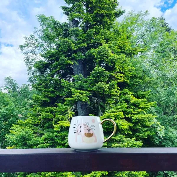 Pine Tree Residence，位于锡纳亚的酒店