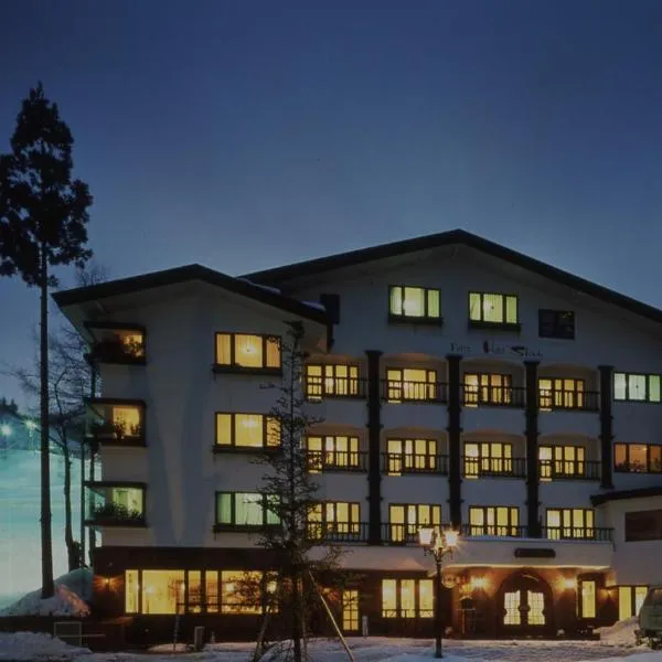 Petit Hotel Shitaka，位于白马村的酒店